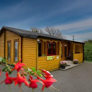 Red Robin Nest Galway
