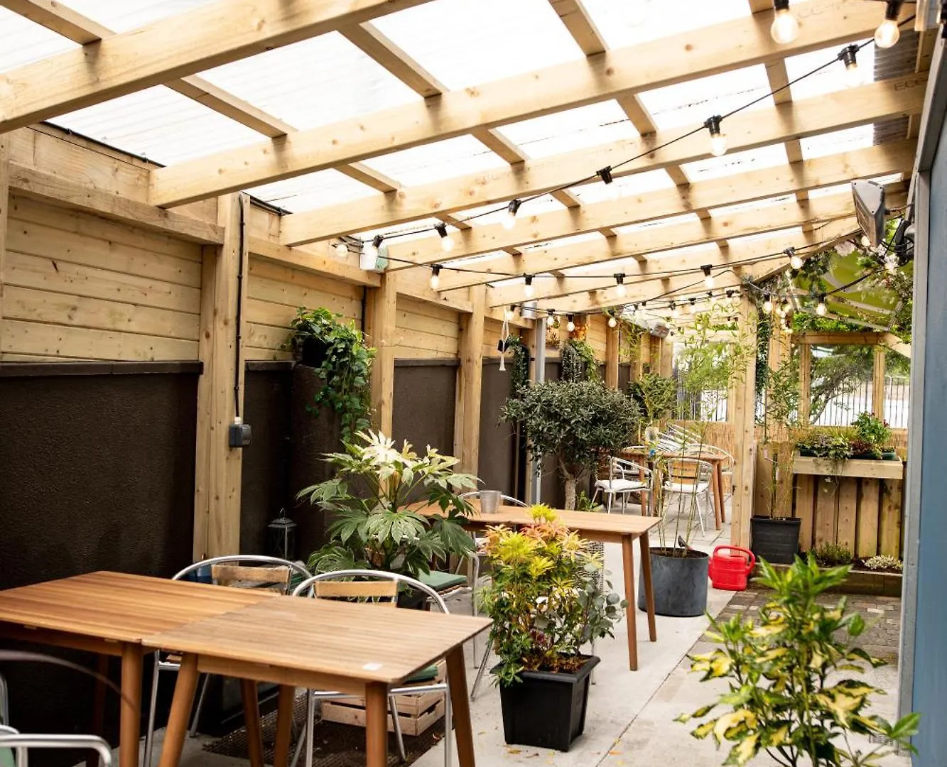 The Nest Boutique Hostel Galway